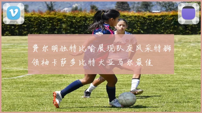 费尔明独特比喻展现队友风采特狮领袖卡萨多比特犬亚马尔最佳