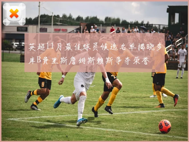英超11月最佳球员候选名单揭晓多库B费里斯詹姆斯赖斯争夺荣誉