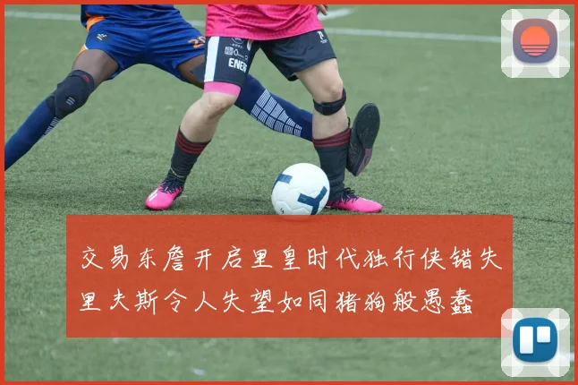 交易东詹开启里皇时代独行侠错失里夫斯令人失望如同猪狗般愚蠢